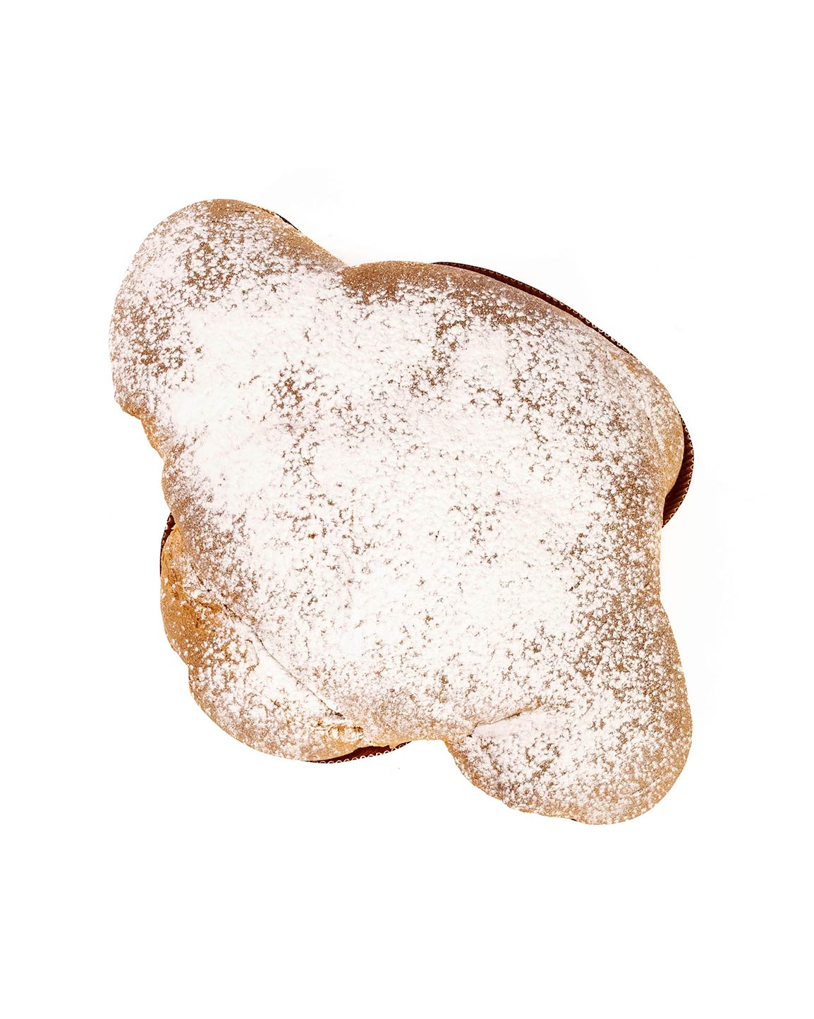 colomba_pandorata2